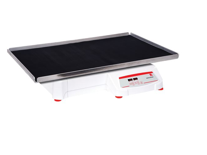 美國奧豪斯，OHAUS，脫色搖床，回旋振蕩器，圓周振蕩器，大負(fù)載圓周式搖床，SHHD6825DG