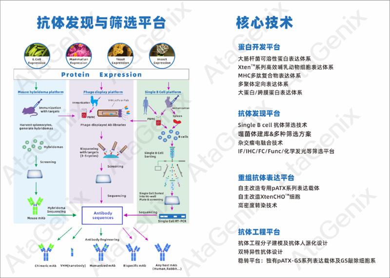 武漢國家生物產業(yè)基地公共服務平臺—光谷抗體發(fā)現(xiàn)與篩選公共服務平臺