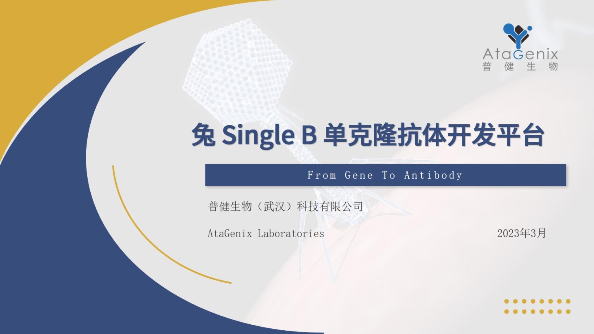 兔穎而出——Single B兔單克隆抗體開發(fā)技術分享