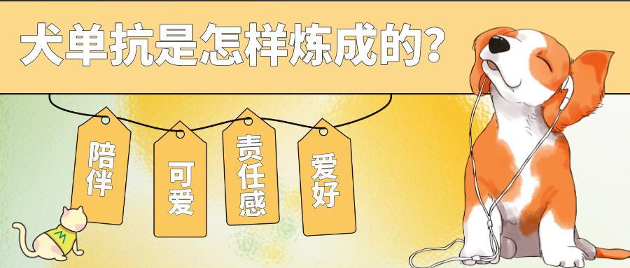 首款犬的單克隆抗體獲批！犬單抗是怎樣煉成的？