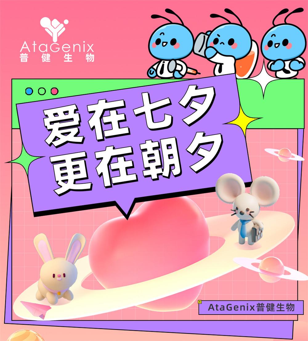 愛(ài)在七夕，更在朝夕
