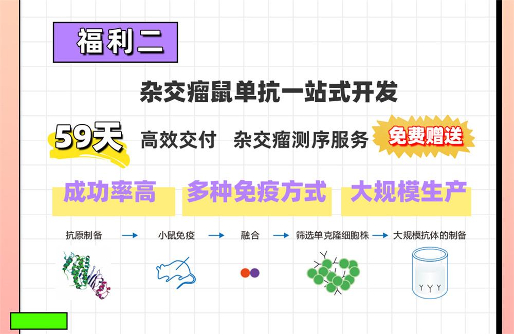 愛(ài)在七夕，更在朝夕