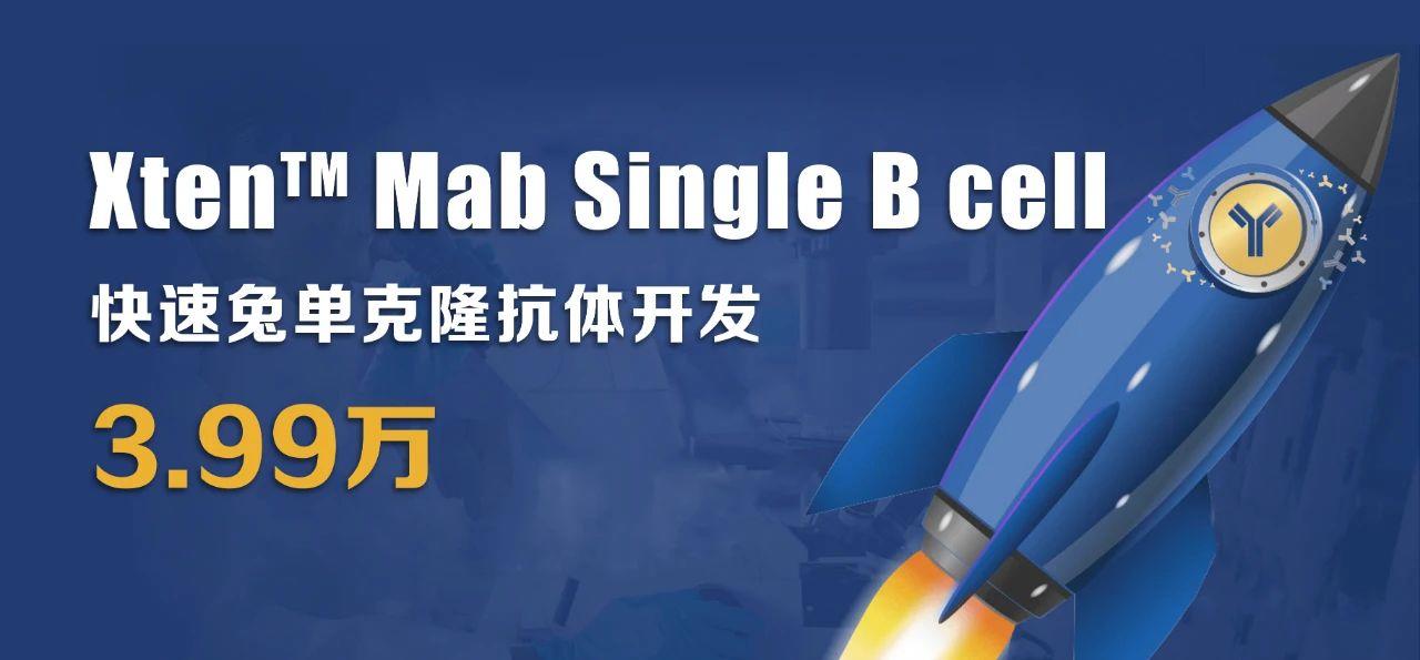 利用兔單B細(xì)胞技術(shù)制備高親和力、多種表位的抗獨(dú)特型單克隆抗體