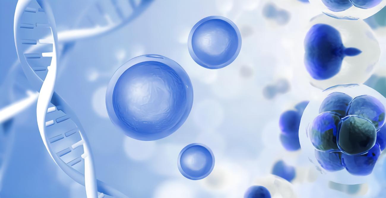 CD133、CD44、CD11b在急性髓系白血病中的表達(dá)及其與臨床預(yù)后的相關(guān)性研究