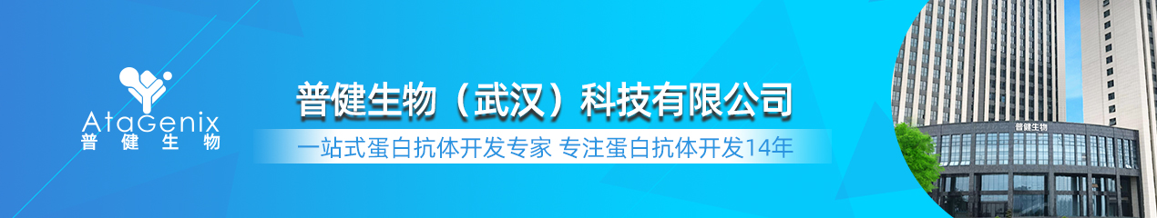 普健生物AtaGenix14年蛋白抗體定制服務(wù)